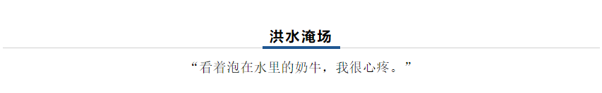 【乳報·聚焦】“豫”難而上的中原牛人“太中了”！