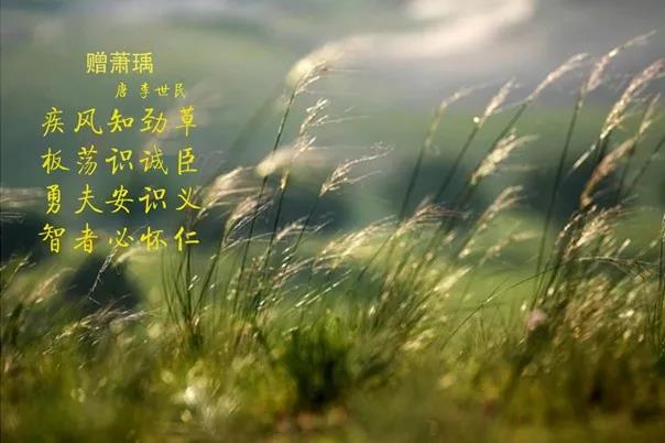 花花牛 | 疾風(fēng)來臨，你是不是勁草？