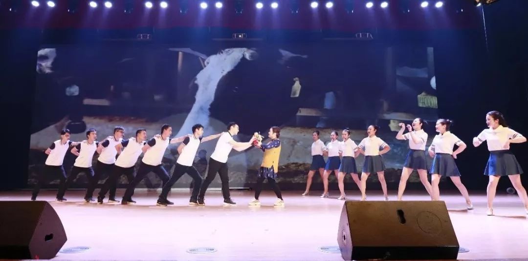 “贏在2019”，花花牛乳業(yè)集團(tuán)2019年新春晚會盛大開幕