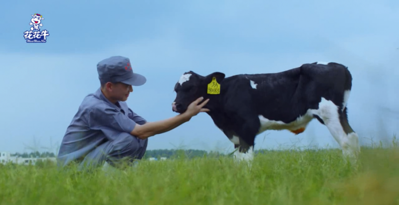 中國動物衛(wèi)生流調(diào)中心首席科學(xué)家范偉興一行蒞臨花花牛郟縣發(fā)展、魯山瑞亞參觀調(diào)研