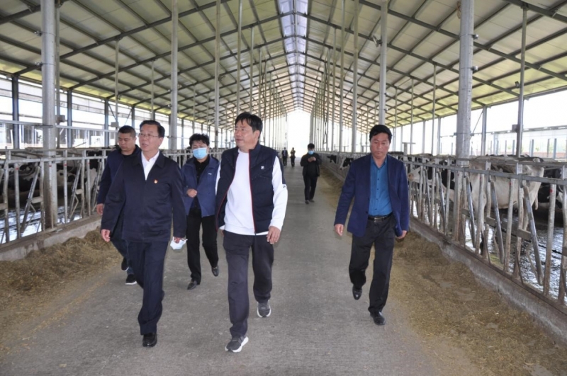 商丘市委常委、宣傳部部長(zhǎng)王全周一行蒞臨睢縣瑞亞牧業(yè)有限公司調(diào)研