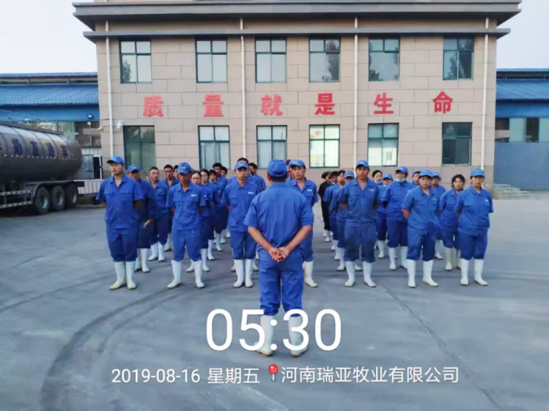 小晨會(huì)·大能量——砥礪奮進(jìn)的花花牛，加油！